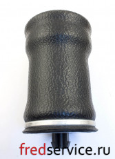1S5176