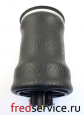 1S5176